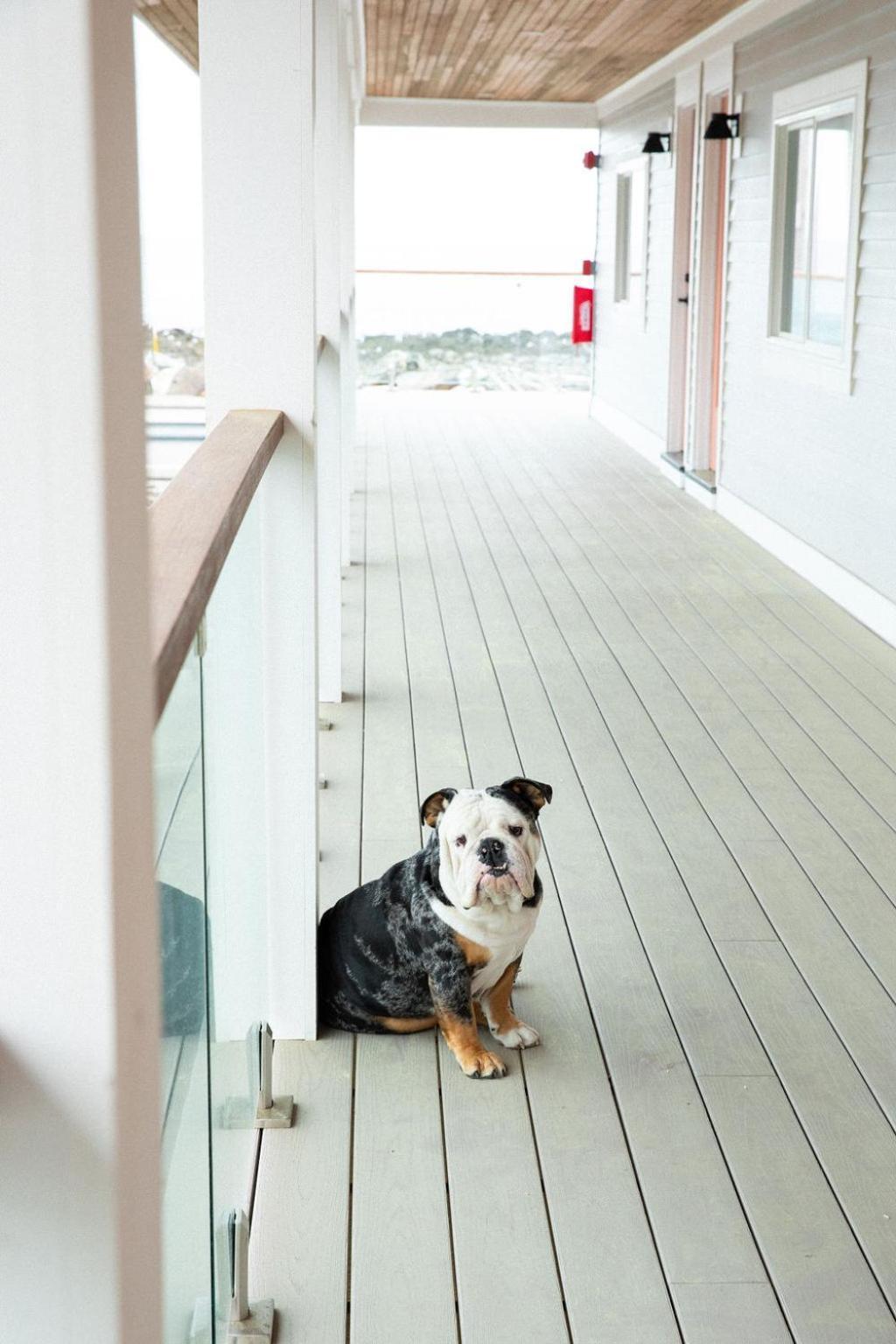 York Beach Surf Club Luaran gambar
